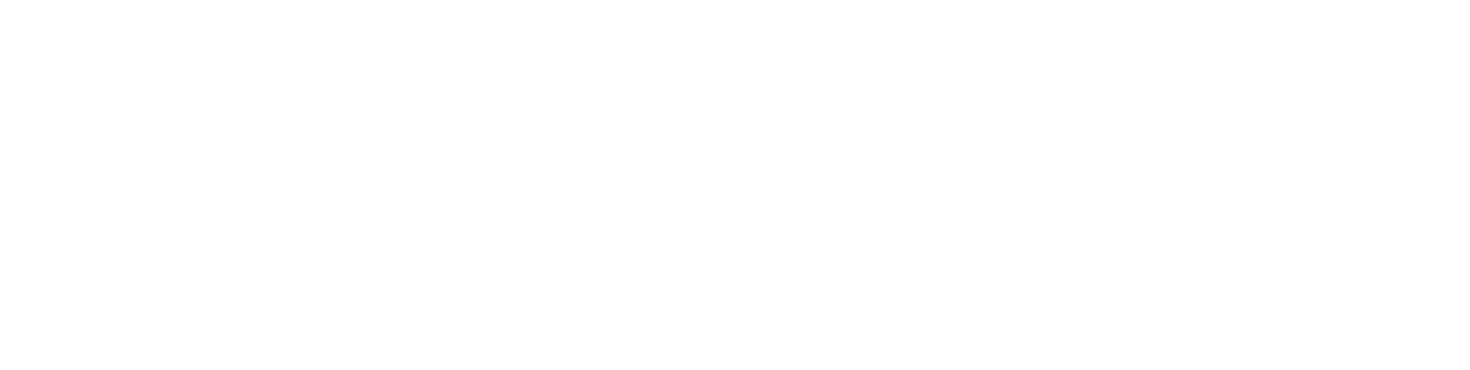 VAN AKEN INTERNATIONAL