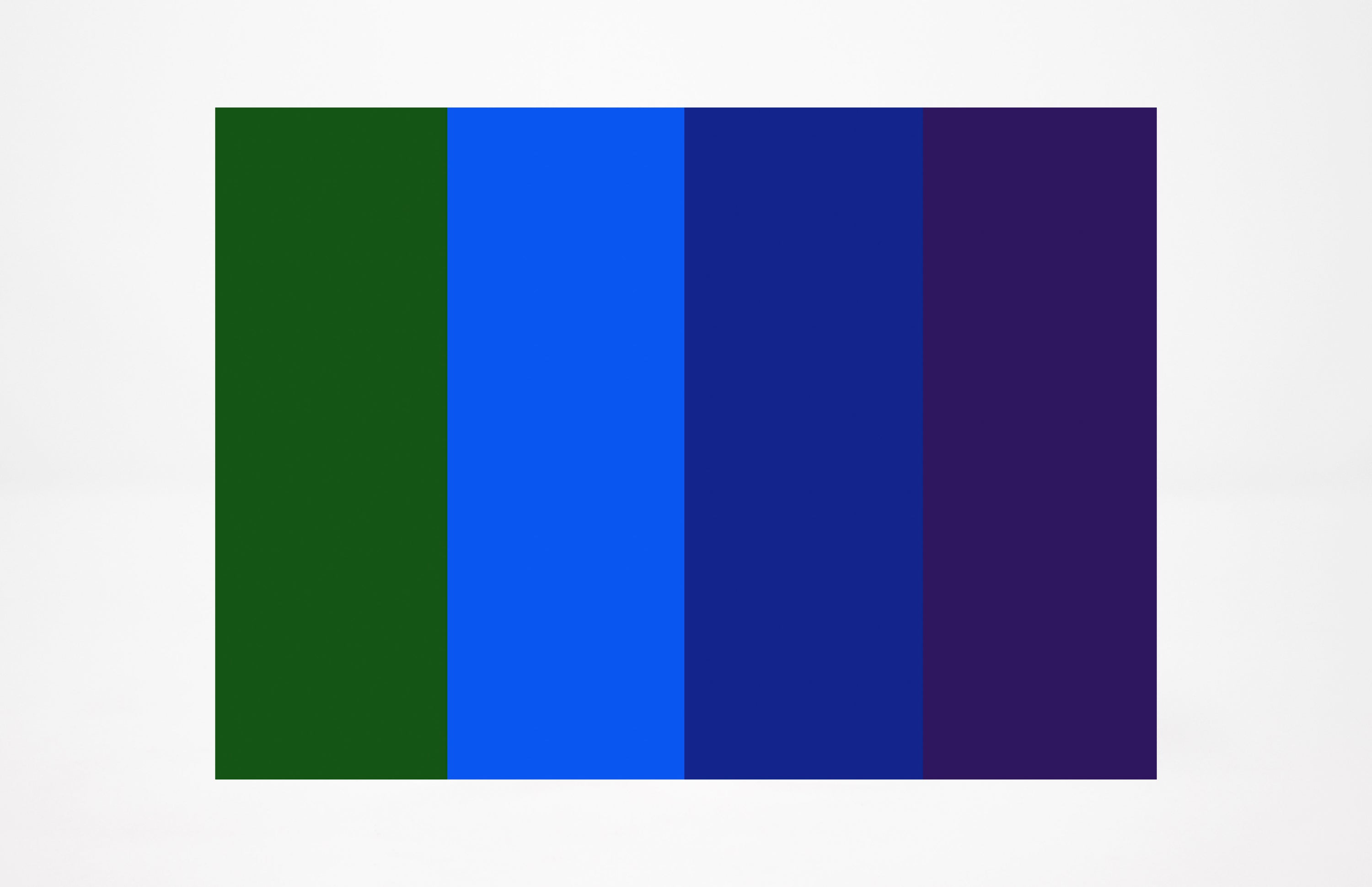 CLAYTOON™ 4 COLOR SETS (1 LB) | NON-HARDENING MODELING CLAY | VARIOUS COLORS