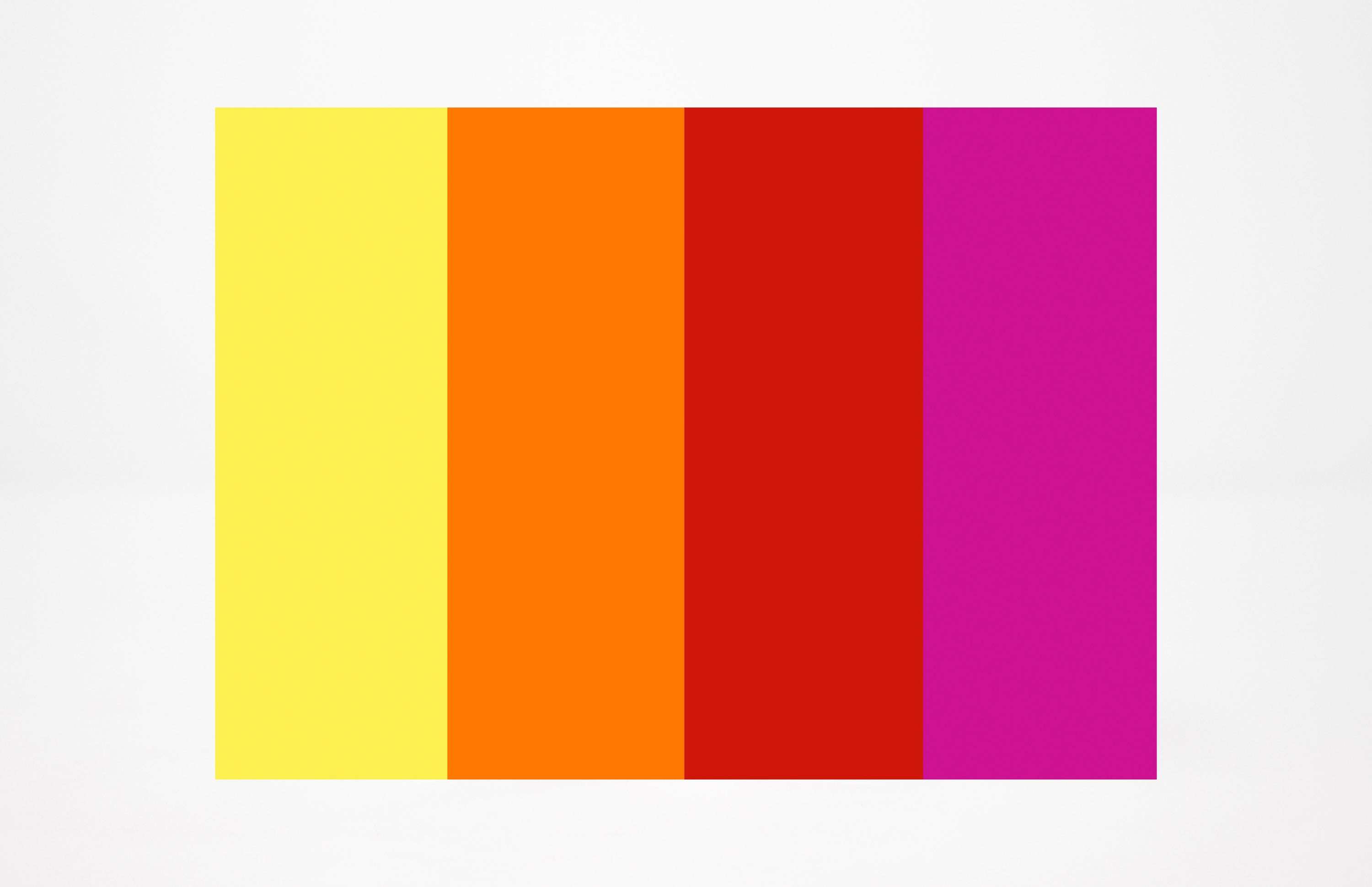 CLAYTOON™ 4 COLOR SETS (1 LB) | NON-HARDENING MODELING CLAY | VARIOUS COLORS